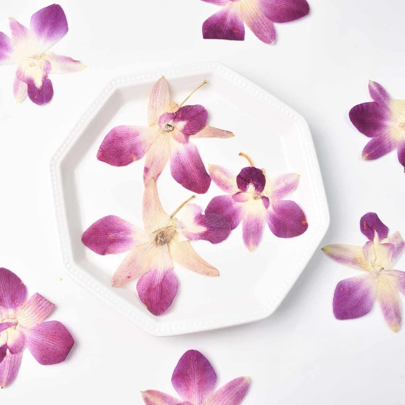 4 ชิ้น, ดอกกล้วยไม้ผีเสื้อแท้แ - Resin Craft Ideas บทวิจารณ์และราคา