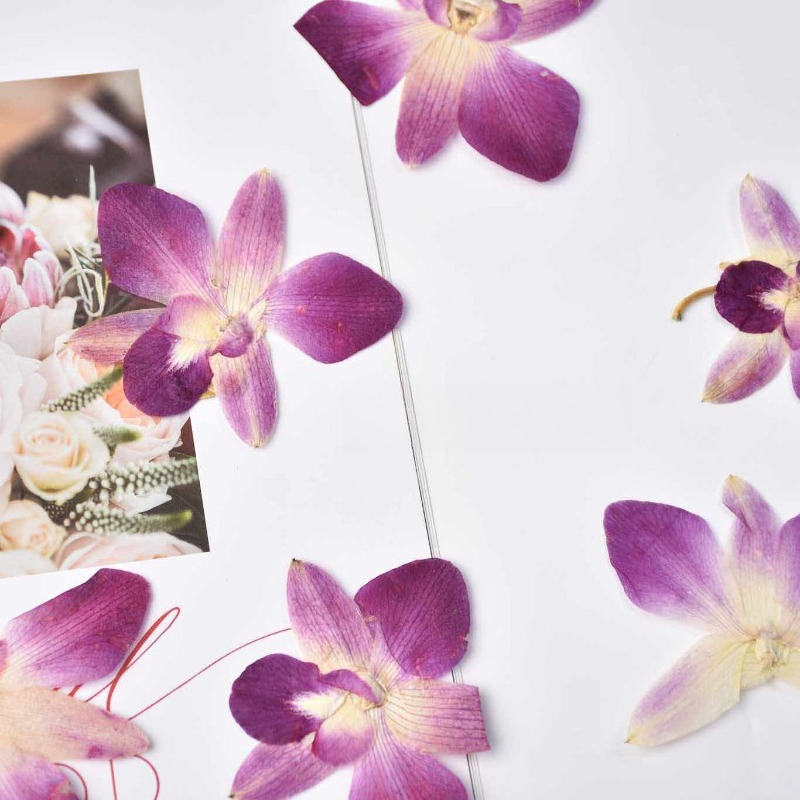 4 ชิ้น, ดอกกล้วยไม้ผีเสื้อแท้แ - Resin Craft Ideas บทวิจารณ์และราคา