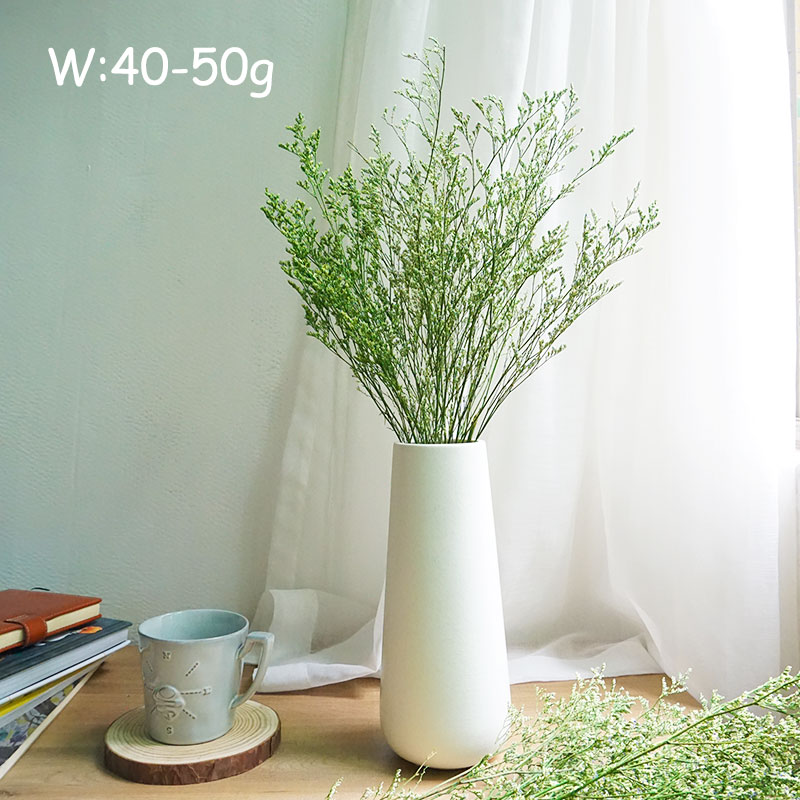 70 กรัม/ดอกลิโมนีอุมะ (หญ้าวาเ - Dried Flower Bulk บทวิจารณ์และราคา