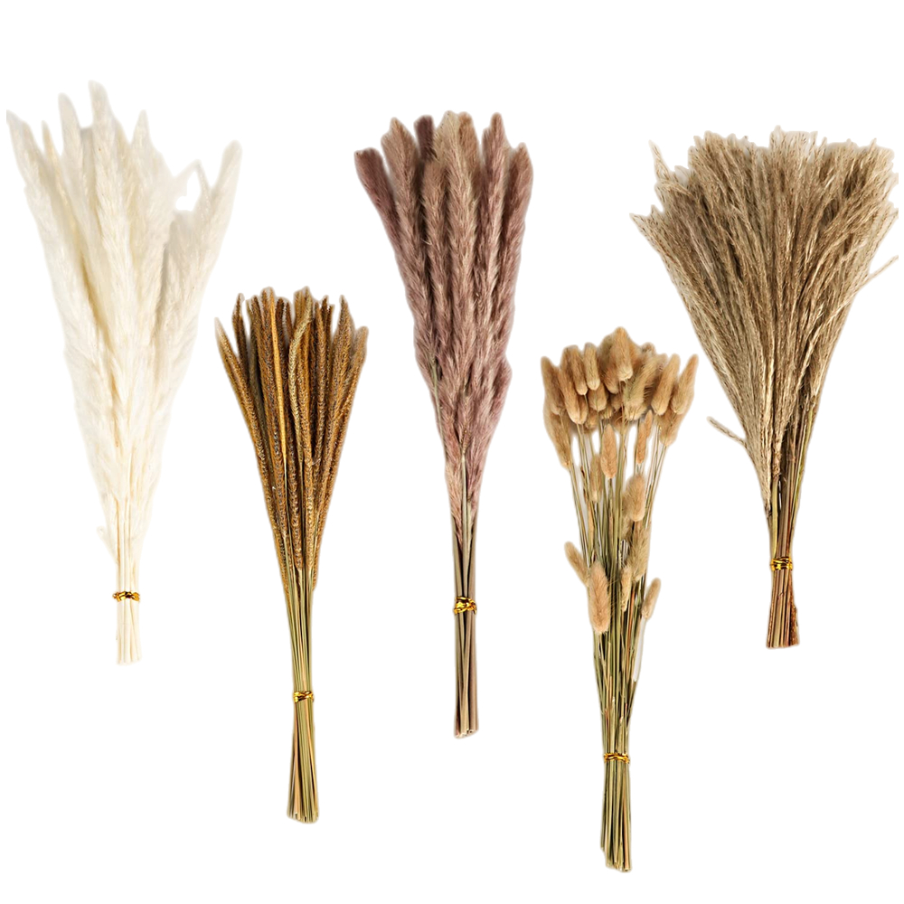 ช่อดอกไม้แห้งผสมสไตล์วินเทจฤดู - Dried Flower Bulk บทวิจารณ์และราคา